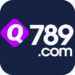 q789 Game